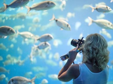 Palma Aquarium Ticket