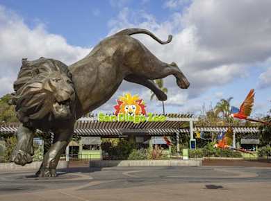 San Diego Zoo 1-day pass