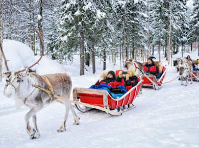 Erlebnis Rentierfarmbesuch in Rovaniemi