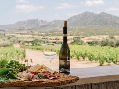 Guided winery tour and tasting in Olbia