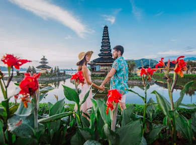 North Bali private 1-day tour