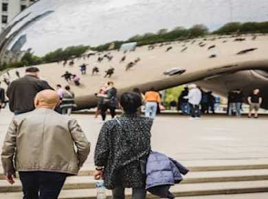 Best of Chicago Guided tour with Skydeck and river cruise