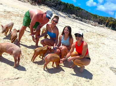 Pearl Island pigs beach adventure with lunch