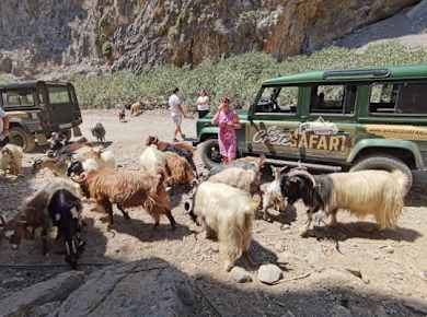 Private Tour zum Strand von Agiofarago und Matala