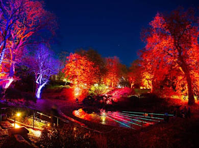 Bewundern Sie die Herbstlichter im Sofiero Park