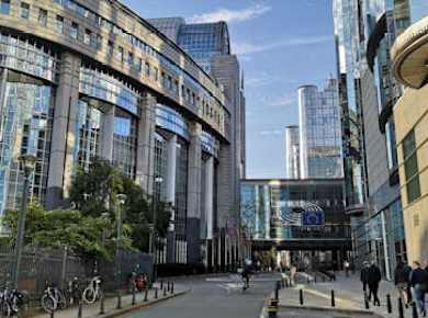 Brussels sightseeing private walking tour