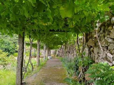 Vinho Verde private tour with gourmet lunch