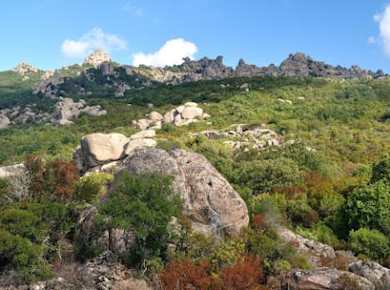 Halbtägiges Trekkingerlebnis im sardischen Hirschwald von Castiadas