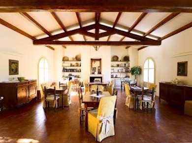 Wine and Olive Oil Tasting at a Local Farm