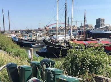 Bike Tour to NDSM Wharf and Noorderpark with a Ferry Ride