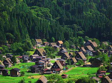 Geführte Tour durch Takayama und Shirakawa ab Nagoya