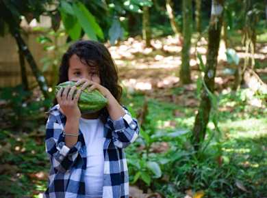 Chocolate Farm Tour & La Fortuna Waterfall