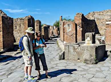Pompeii shared tour from Naples
