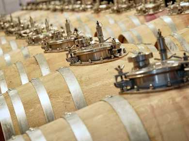 Bodega Jose L Ferrer Wine Tasting Tour
