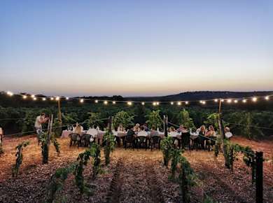 Abendessen im Weinberg mit Weinprobe im Valle d'Itria