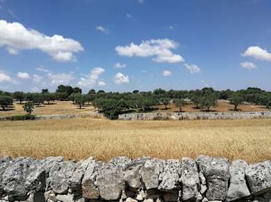 Trekking und Trockenmauerkurs im Valle d'Itria