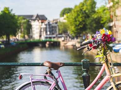 Fahrradtour durch die Landschaft von Amsterdam mit Windmühlen