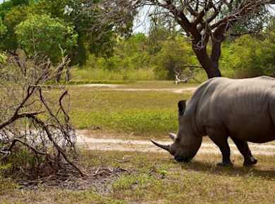 Fathala Wildlife Reserve Tagestour