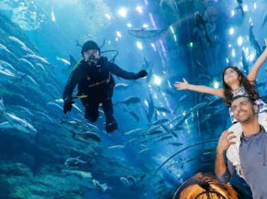 Dubai Aquarium and Underwater Zoo silver pass