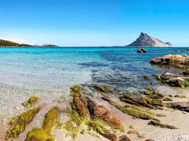 Tavolara und Molara Schnorcheln mit einem Meeresbiologen