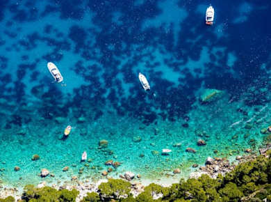 Von Sorrent nach Capri - Private Bootstour