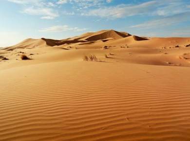 Halbtägige geführte Tour zu den Sahara-Dünen von Agadir aus