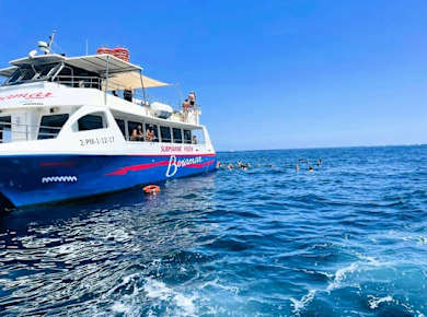Katamaranfahrt mit Muschelverkostung und Wein ab Denia
