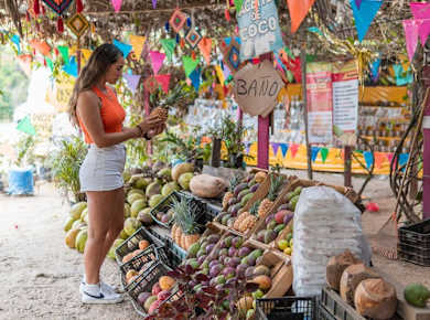 Sayulita and San Pancho Tour