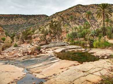 Geführte Tour zu einer Berber-Oase von Agadir mit kurzer Wanderung