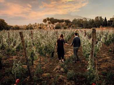 Sunset vineyard walk and gourmet wine pairing dinner in Sicily
