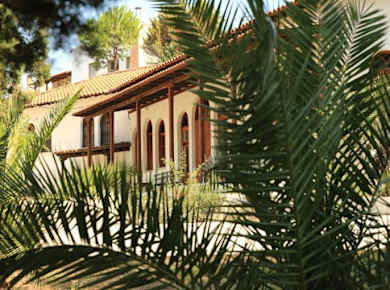 Ierissos Markt & Metochi-Kloster Tour