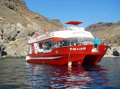 Delfinsafari und Markt von Mogan