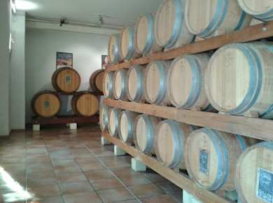 Tour of Orange and wine-tasting at Chateauneuf-du-Pape-0