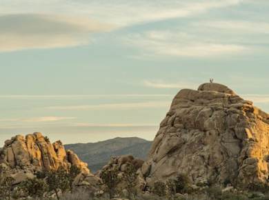 Joshua Tree's Hidden Valley - selbstgeführte Audio-Wandertour