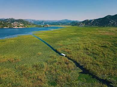 Privater Ausflug zur Erkundung des Skadar-Sees ab Herceg Novi