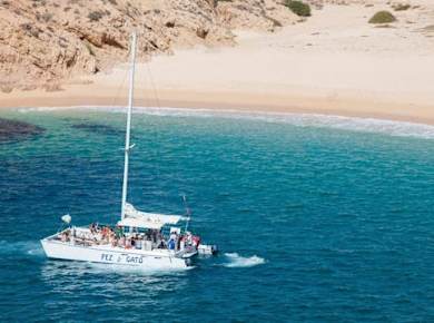 Pez Gato Catamaran Party Cruise from Cabo