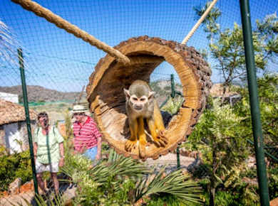 Amazonas Park and glass-bottom boat tour