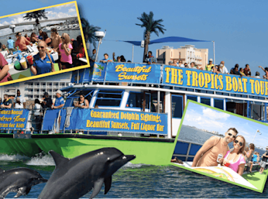 Delfin-Erkundungstour