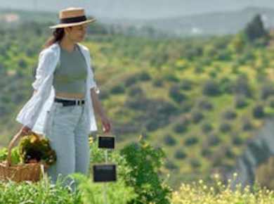 Organic farm guided tour with salad-making experience