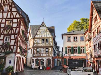 Geführte Tour durch Mainz ab Frankfurt mit dem Zug