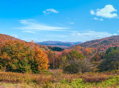 Catskills Scenic Byway Self-Guided Driving Audio Tour