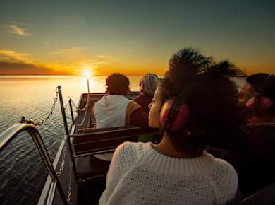 Sunset Central Florida Everglades Airboat Tour mit Parkeintritt