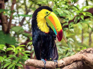 Diamante Eco Park Tierschutzgebiet Entdeckungsticket