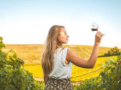 Sancerre: Private Weintour ab Paris mit Verkostungen und Mittagessen