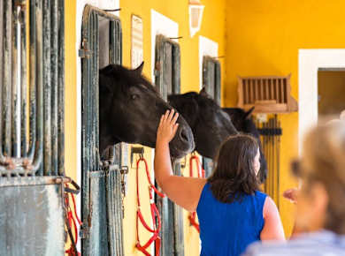 Minoan Activity at Amnesiades Historical Park