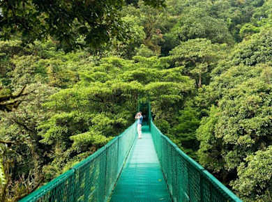 Selvatura Park Zipline, Hängebrücken & Faultier-Schutzgebiet mit Transfer