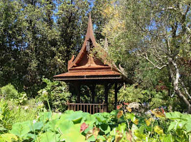 Guided walking tour of Ischia’s gardens with wine-tasting