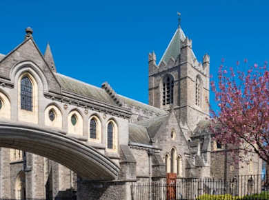 Eintrittskarte und selbstgeführte Tour durch die Dublin Christ Church Cathedral