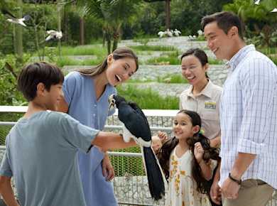 Eintrittskarten zum Vogelparadies