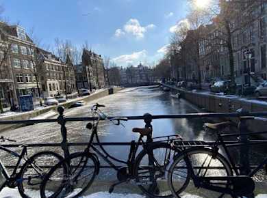 Amsterdam: Stadtrundfahrt mit ortskundigem Reiseleiter